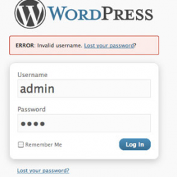 WordPress 受到大規模攻擊，建議用家修改密碼