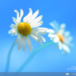 免費下載 Windows 8 RTM 企業版 繁體中文 90天試用版 ISO